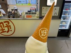 -野人先生现做冰淇淋(北京悠唐购物中心店)
