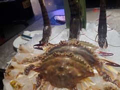 -1718海鲜姿造(苏宁宴请臻选店)