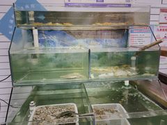 -鲁前海沿儿
