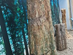 -延庆地质公园博物馆