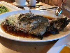 清蒸石斑鱼-青城山六善酒店·紫氣園中餐厅