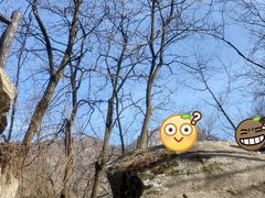 -秦岭终南山世界地质公园翠华山景区