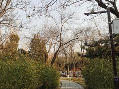 -宣武艺园
