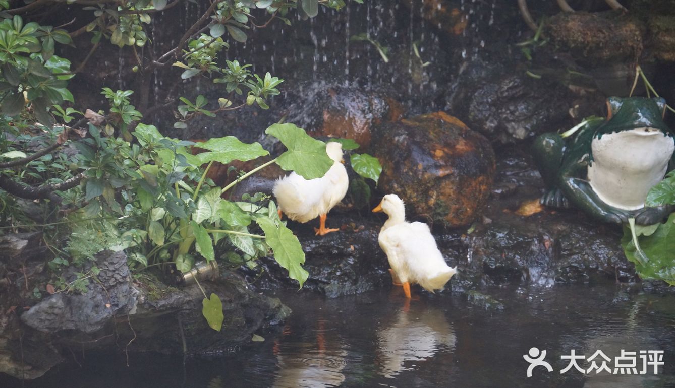 熙熙攘攘皆为食来~ ~ 酷热里,怀着四十多度的热情