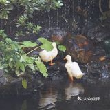 熙熙攘攘皆为食来~ ~ 酷热里,怀着四十多度的热情