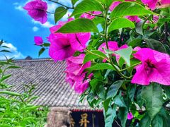 -峨眉山报国寺