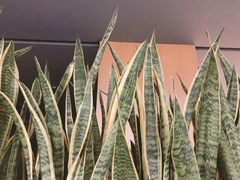 -中国工商银行(杭州西溪紫霞街支行)