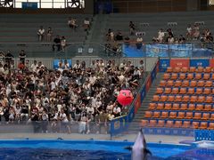 -海合安成都极地海洋公园