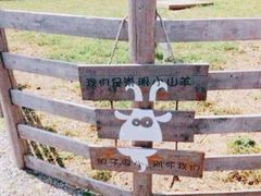 -前小桔亲子创意农场·草莓采摘·露营烧烤