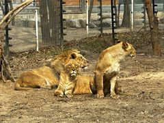 -北京野生动物园