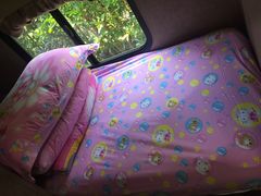 -崇明东平国家森林公园烧烤房车露营地