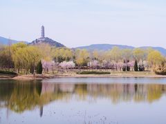 -北坞公园