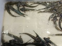 -钱山海鲜大排档