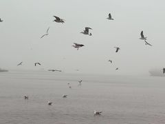 -海驴岛(荣成市)