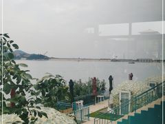 -望湖烤鱼
