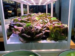 -东方红海鲜百汇(国际大厦店)