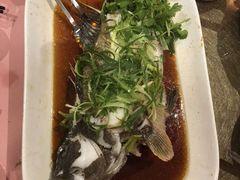 -同乐轩港式早茶