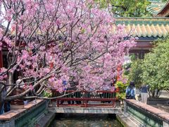 -宝墨园景区