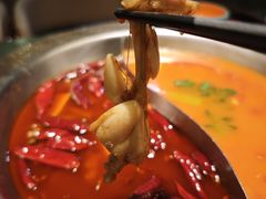 -麻田会 ·鲜活现烹·牛蛙火锅(珠江新城维家思广场店)