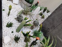 -大树餐厅(红旗街万达店)