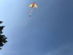 -飞来湖湿地公园