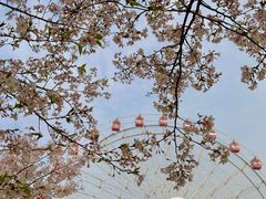 -东湖磨山景区