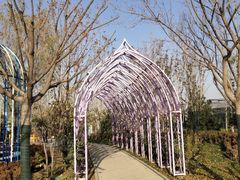 -南宫五洲植物乐园