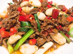 -食欲老院子荆芥疙瘩汤(经五路店)