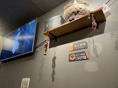 -猫头鹰炸鸡