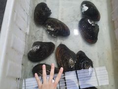 -八仔大富楼·河鲜(西江店)