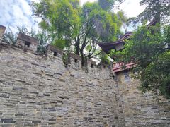 -桂湖森林公园