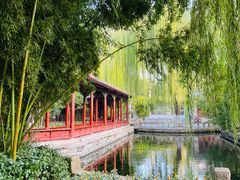 -趵突泉景区