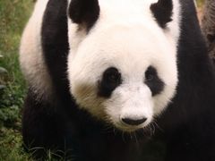 -香港海洋公园