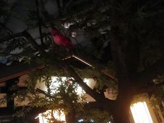 -苏乡兰亭·新派淮扬菜(吾悦广场店)