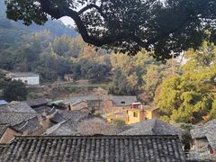 -杨家堂村