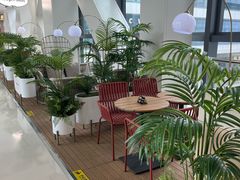 -哈根达斯(SM店)