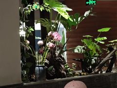 -雲說·花(西宸天街店)