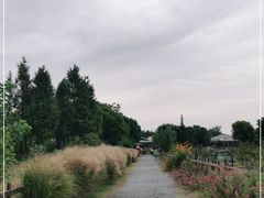 -田园东方蜜桃村的田野营地