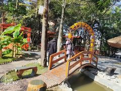 -陶缘一号·四季缘·老字号顺德菜·户外婚礼家宴(西滘店)