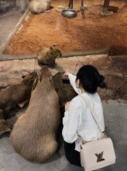 -Zoolung Zoolung动物主题公园(海信广场店)