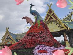 -七彩云南欢乐世界