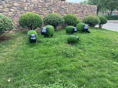 -石家庄市动物园