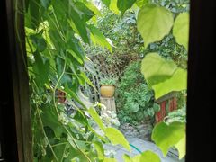 -斯多格书乡(北京大学畅春园店)