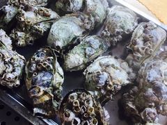 -蚝专家(北滘店)