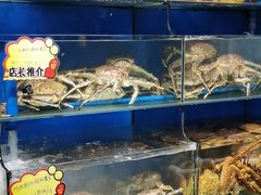 水产区-蚝专家(北滘店)