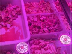 -地锅公社·现炒地锅鸡·地锅鱼·夜宵(罗锦路店)