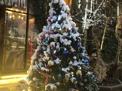 -胡桃里音乐酒馆(曲江店)