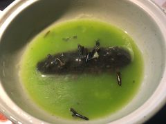 上汤野米海参-花潮料理艺食馆(成都万象城店)