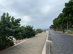 -福田红树林生态公园