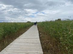 -野鸭湖国家湿地公园
